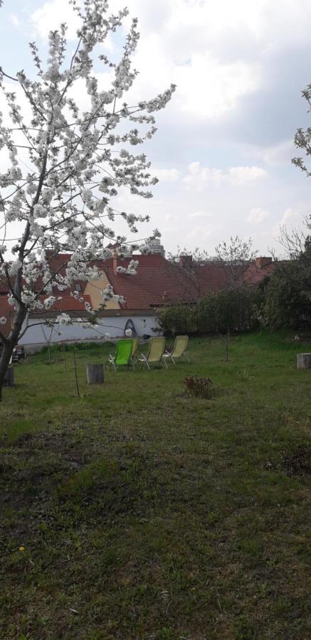 Plitzner Belvarosi Apartmanhaz Eger Exterior photo