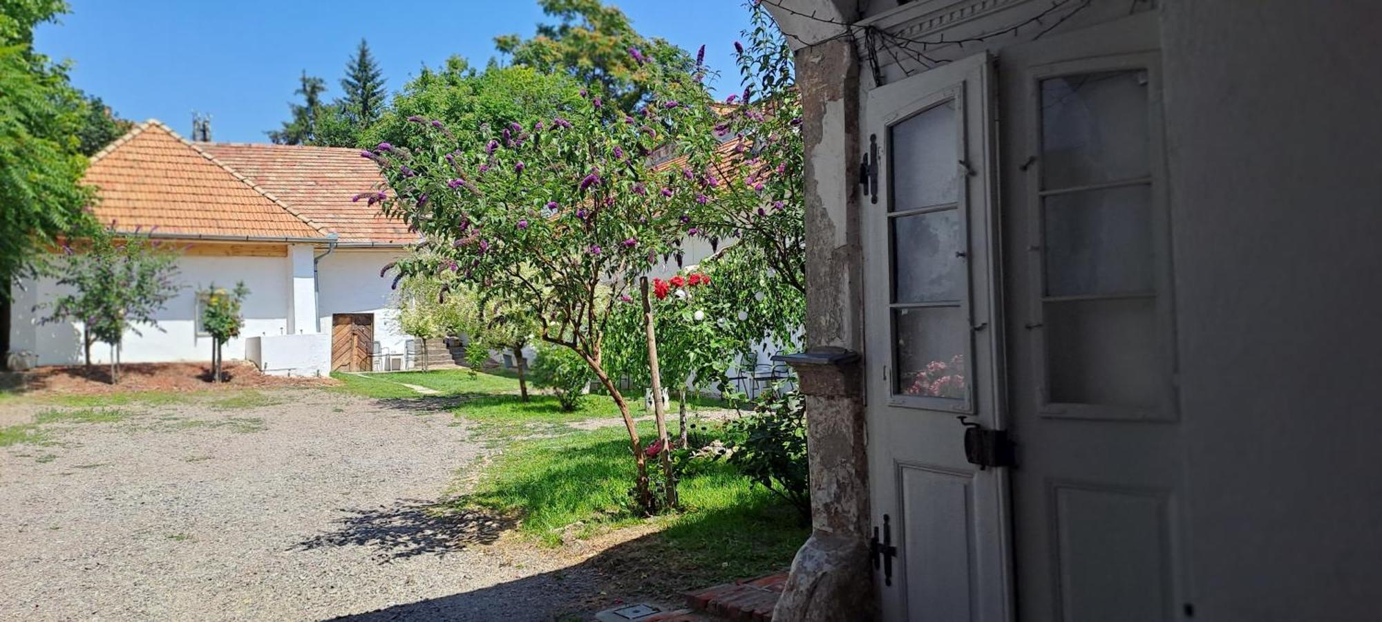 Plitzner Belvarosi Apartmanhaz Eger Exterior photo